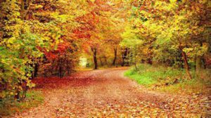 Vacances étudiants : comment partir sans se ruiner ?