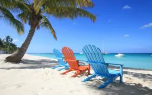 Trouver un bon compagnon de voyage : conseils et astuces