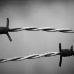 Visite de la prison Alcatraz : secrets, avis et conseils pratiques