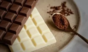 Quels sont les plats typiques de la Belgique à découvrir absolument ?