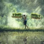 Tourisme sexuel : comprendre et combattre ce fléau mondial