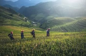 Sapa Vietnam : Une destination unique pour les amoureux de la nature