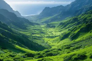 Circuit aux Canaries : découvrez les trésors cachés de l&rsquo;archipel