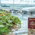 Voyage organisé pour le Salon de l’Agriculture 2024 : Mode d’emploi