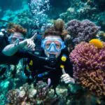 Voyage plongée célibataire : Plongez seul, remontez avec une tribu