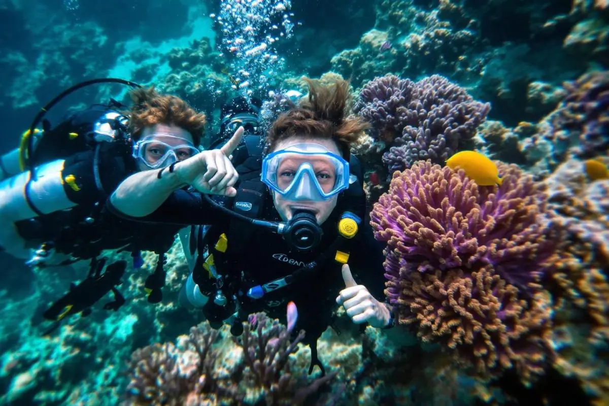 Voyage plongée célibataire : Plongez seul, remontez avec une tribu